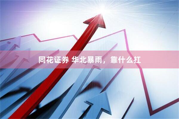 同花证券 华北暴雨，靠什么扛