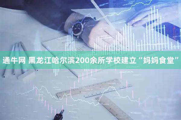 通牛网 黑龙江哈尔滨200余所学校建立“妈妈食堂”
