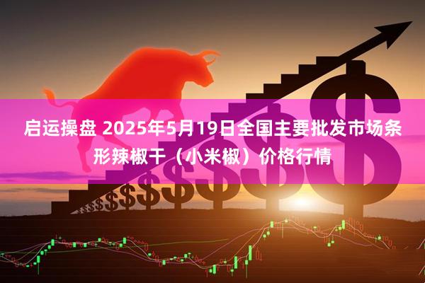启运操盘 2025年5月19日全国主要批发市场条形辣椒干（小米椒）价格行情