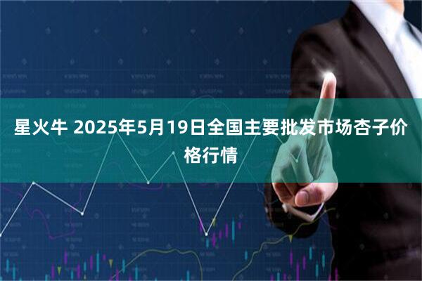 星火牛 2025年5月19日全国主要批发市场杏子价格行情